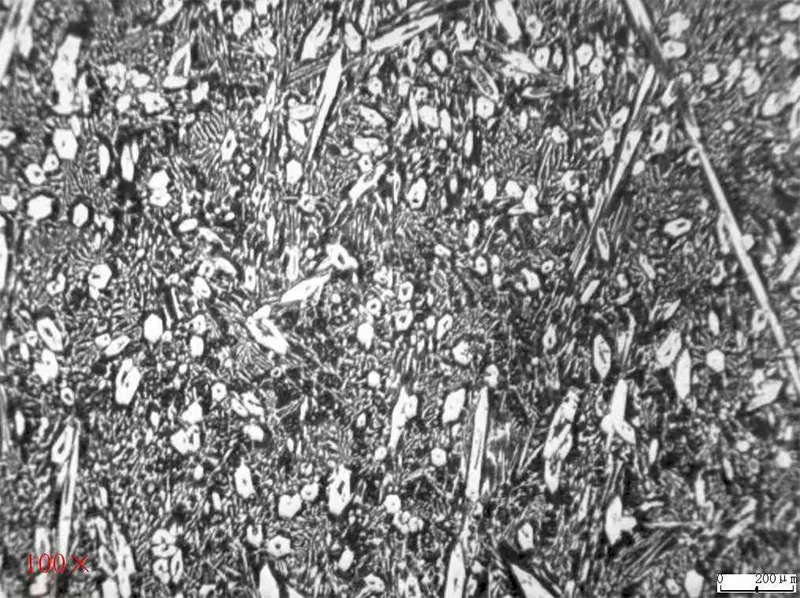 Nodular Cast Iron 6 Blow Bar Metallography 100X-2