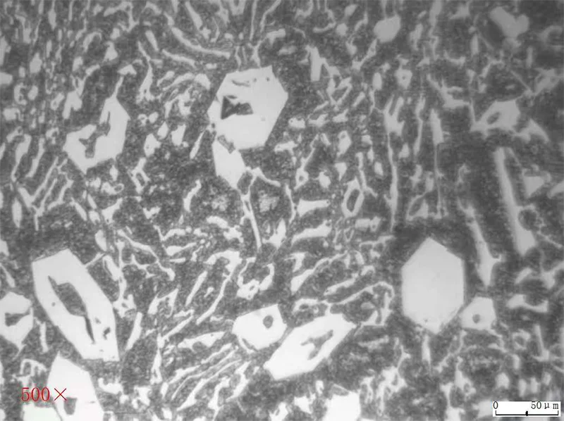 Nodular Cast Iron 7 Blow Bar Metallography 500X-1
