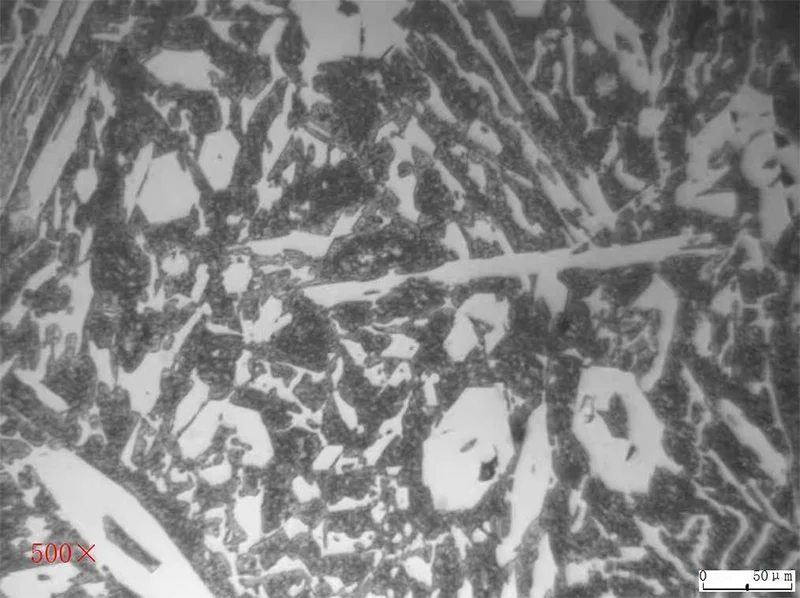 Nodular Cast Iron 8 Blow Bar Metallography 500X-2