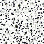 Nodular-Graphite-Cast-Iron