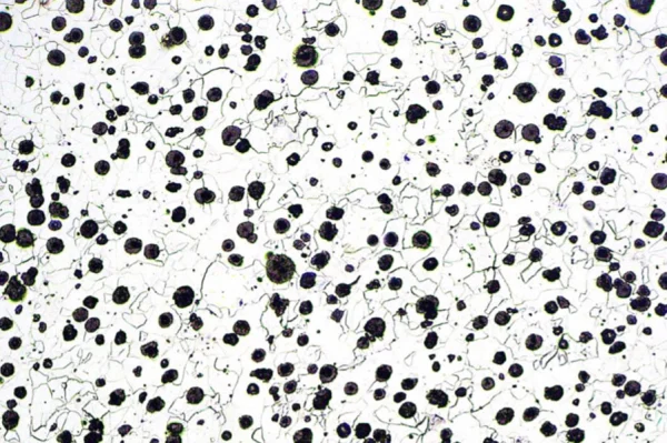 Nodular-Graphite-Cast-Iron